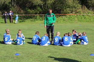 开云体育在线赛事直播-中国篮球教练员战术创新能力培养及培训机制研究，全国篮球教练员岗位培训